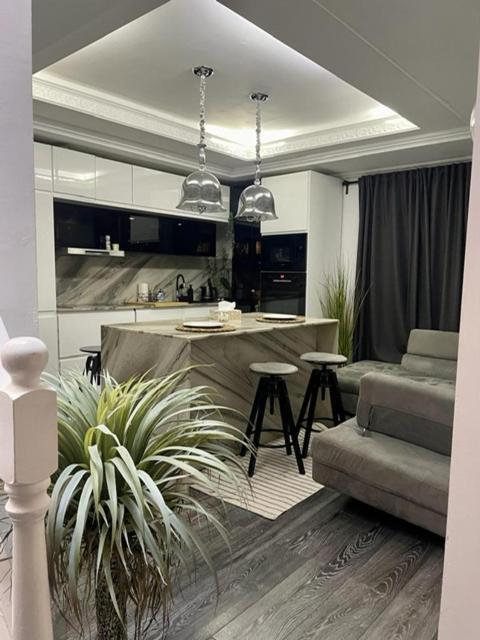 Casa In Inima Capitalei * 布加勒斯特